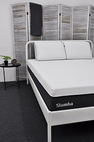   Twin Mattress S25T 10" 